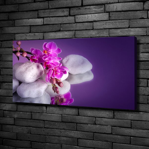 Foto obraz na plátně do obýváku Orchidej oc-95985496