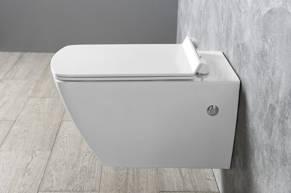 Isvea - Záchodové prkénko SoftClose PURITY bílá
