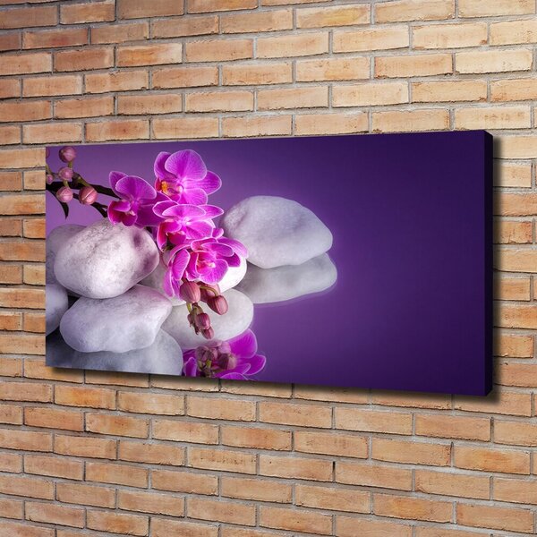 Foto obraz na plátně do obýváku Orchidej oc-95985496