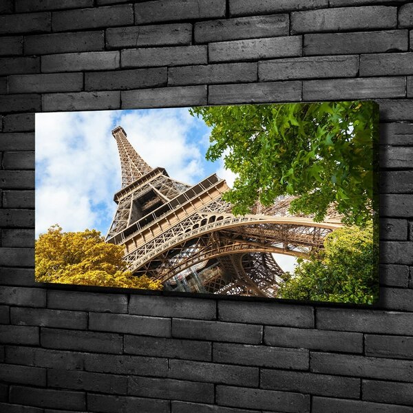 Moderní fotoobraz canvas na rámu Eiffelova věž Paříž oc-96010158