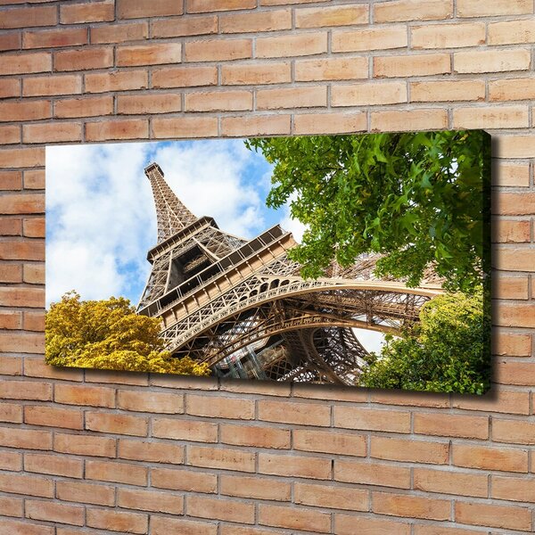 Moderní fotoobraz canvas na rámu Eiffelova věž Paříž oc-96010158