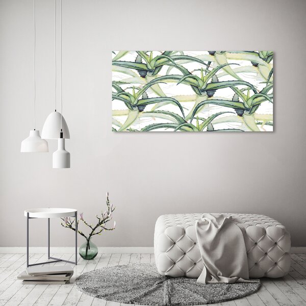Foto obraz sklo tvrzené Aloes osh-96215866