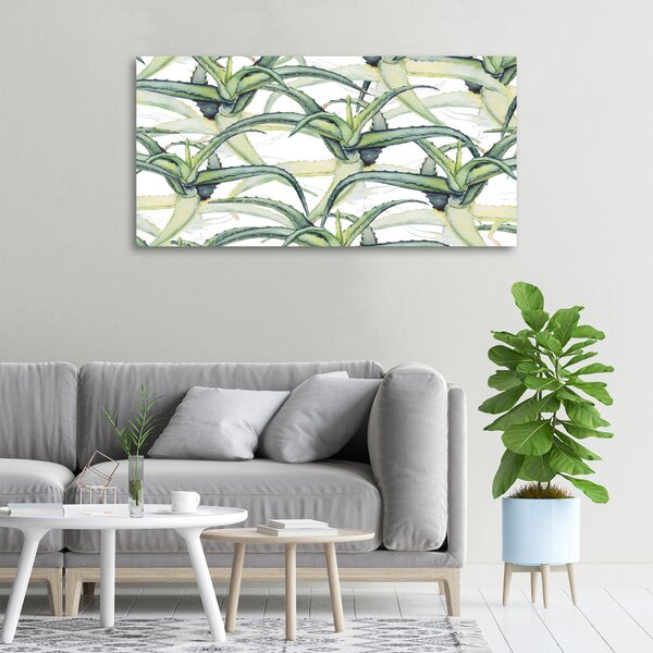 Foto obraz na plátně Aloes oc-96215866