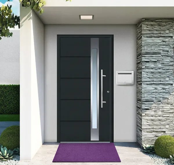 Hanse Home Rohožka Wash & Clean 103838 Violett - na ven i na doma - 60x90 cm