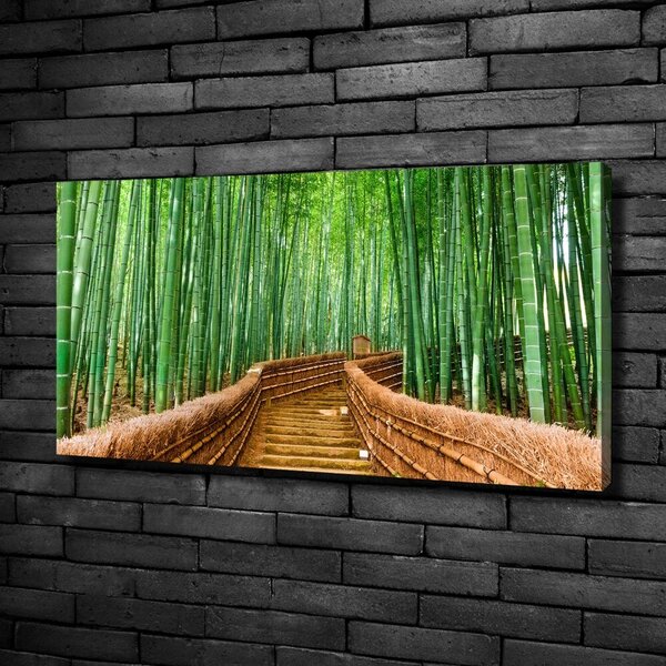 Moderní fotoobraz canvas na rámu Bambusový les oc-97156437