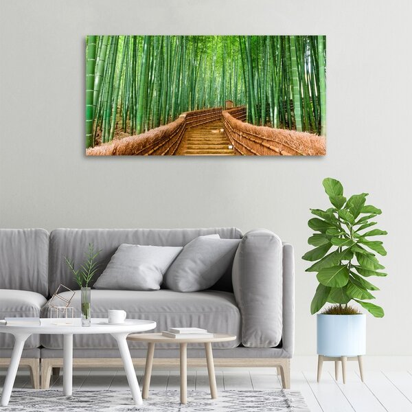 Moderní fotoobraz canvas na rámu Bambusový les oc-97156437