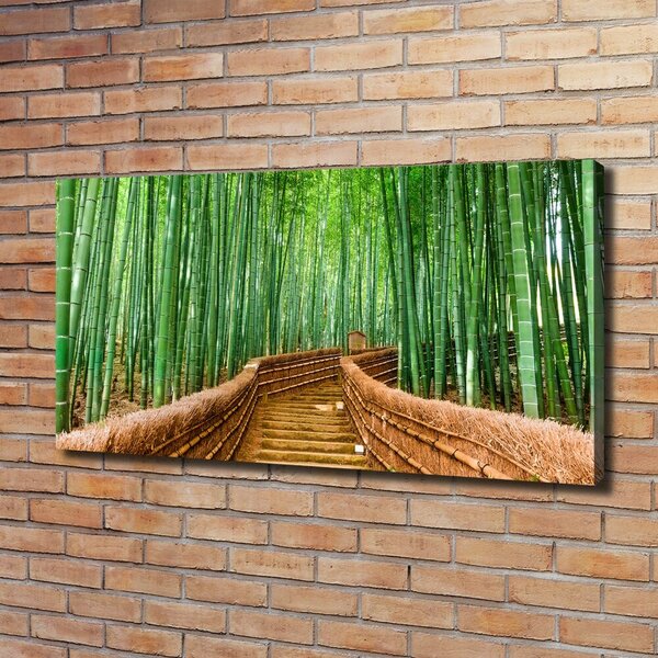 Moderní fotoobraz canvas na rámu Bambusový les oc-97156437
