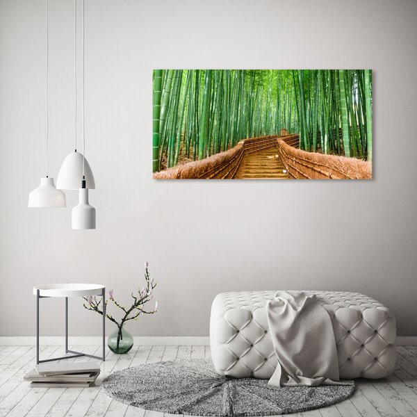 Moderní fotoobraz canvas na rámu Bambusový les oc-97156437