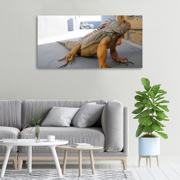 Foto obraz na plátně Iguana oc-97700993