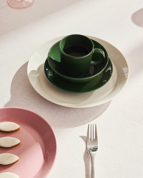 Iittala Hrnek Teema 0,3l, zelený