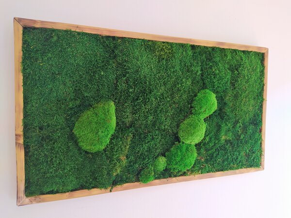 Mechový obraz- lesný mech 30cm x 70cm