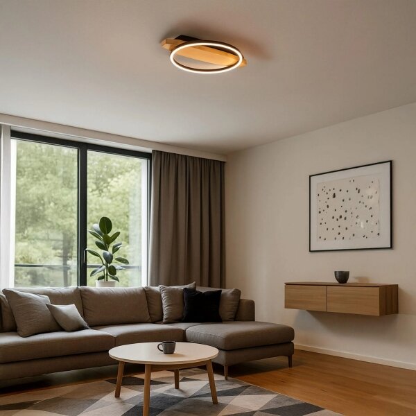 LED Stropní svítidlo MELISA LED/12W/230V 30x40 cm borovice