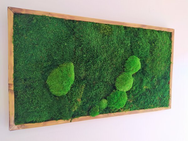 Mechový obraz- lesný mech 30cm x 70cm