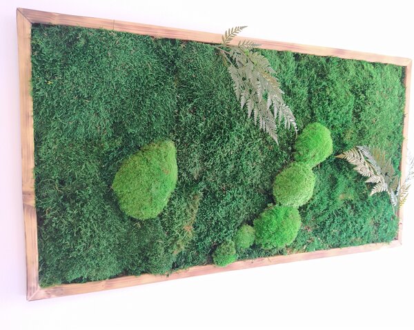 Mechový obraz- lesní mech s kapradím 30cm x 70cm