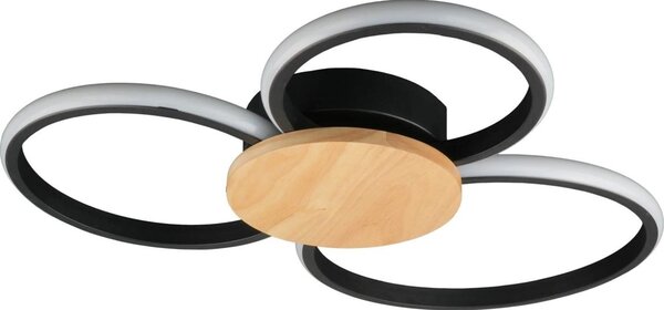 LED Stropní svítidlo SABINA LED/38W/230V kaučukovník