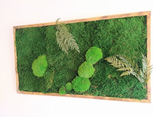 Mechový obraz- lesní mech s kapradím 30cm x 70cm