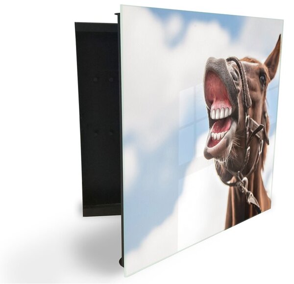 Glasdekor skříňka na klíče - vtipný kůň - Pravé / Černá