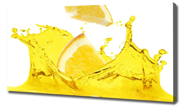 Foto obraz na plátně do obýváku Plátky citronu oc-98570020