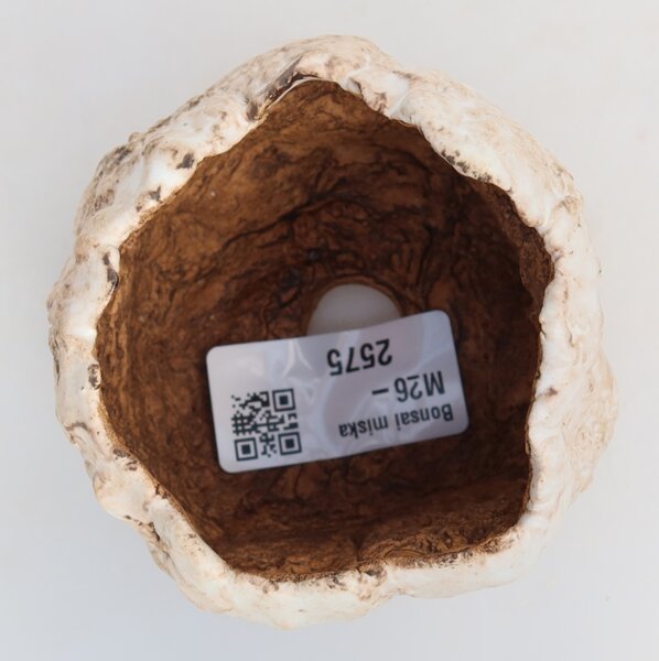 E-bonsai Keramická Skořápka 7 x 7 x 6 cm bílohnědá