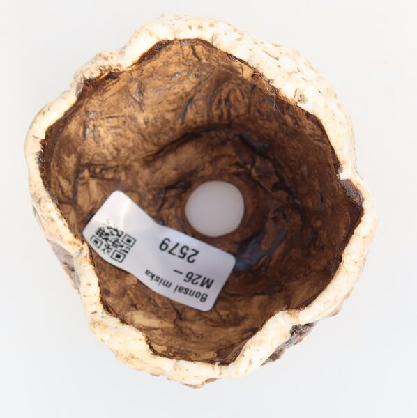 E-bonsai Keramická Skořápka 7,5 x 7 x 6,5 cm bílohnědá