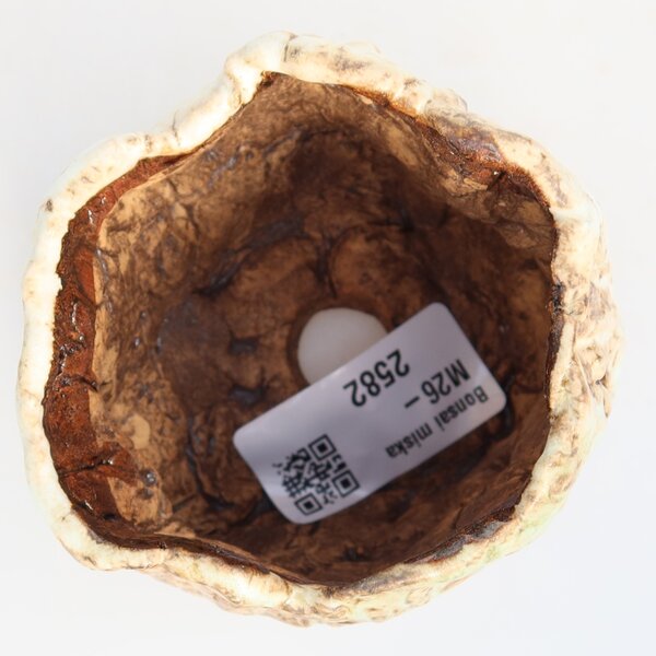 E-bonsai Keramická Skořápka 7 x 7 x 6,5 cm bílohnědá