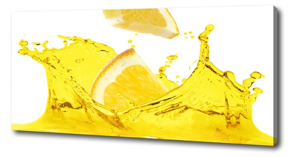 Foto obraz na plátně do obýváku Plátky citronu oc-98570020