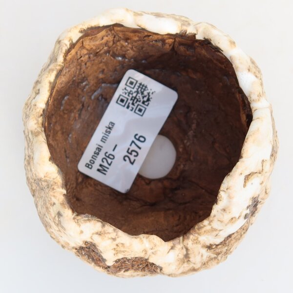 E-bonsai Keramická Skořápka 7 x 7 x 6 cm bílohnědá