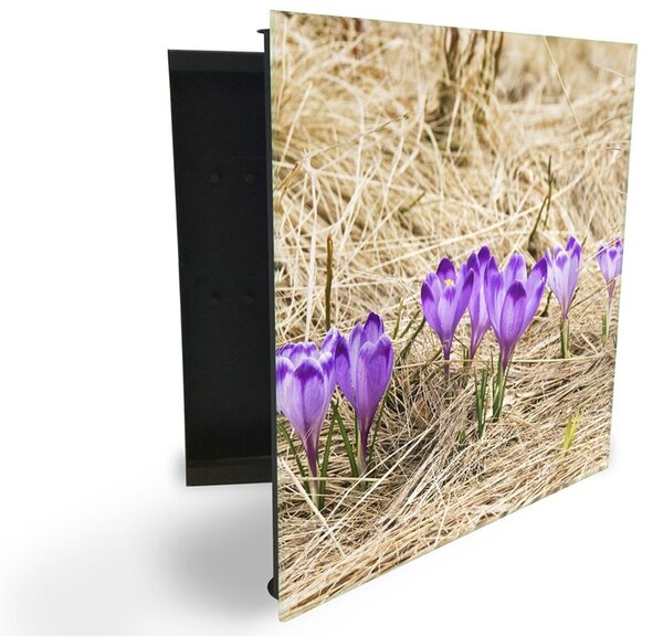 Glasdekor skříňka na klíče - květy fialové krokusy v suché trávě - Levé / Bílá