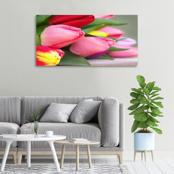 Foto obraz na plátně Barevné tulipány oc-98761222