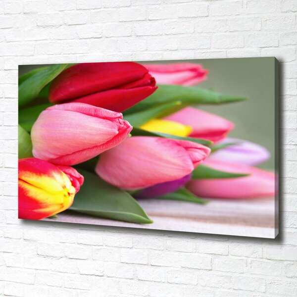 Foto obraz na plátně Barevné tulipány oc-98761222