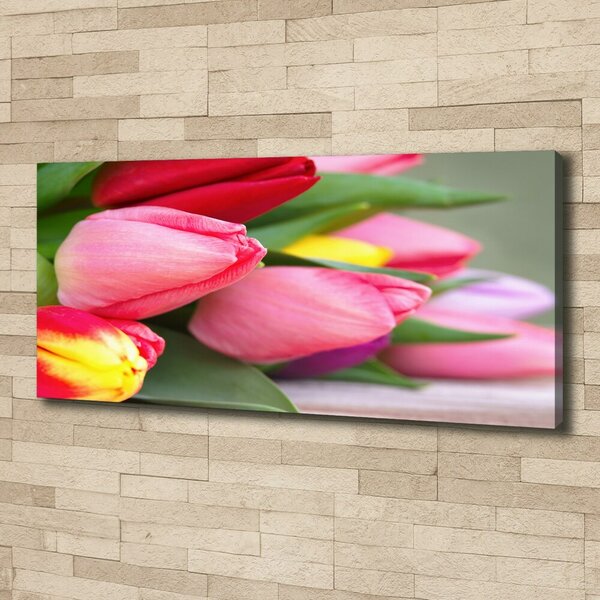 Foto obraz na plátně Barevné tulipány oc-98761222