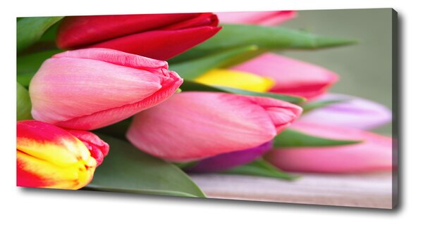 Foto obraz na plátně Barevné tulipány oc-98761222