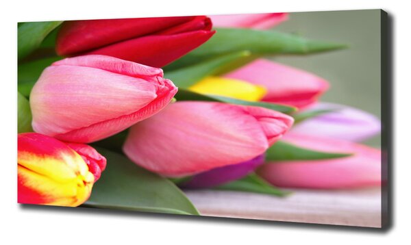 Foto obraz na plátně Barevné tulipány oc-98761222