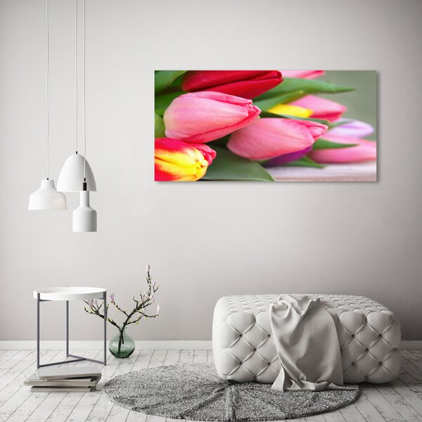 Foto obraz na plátně Barevné tulipány oc-98761222