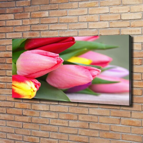 Foto obraz na plátně Barevné tulipány oc-98761222
