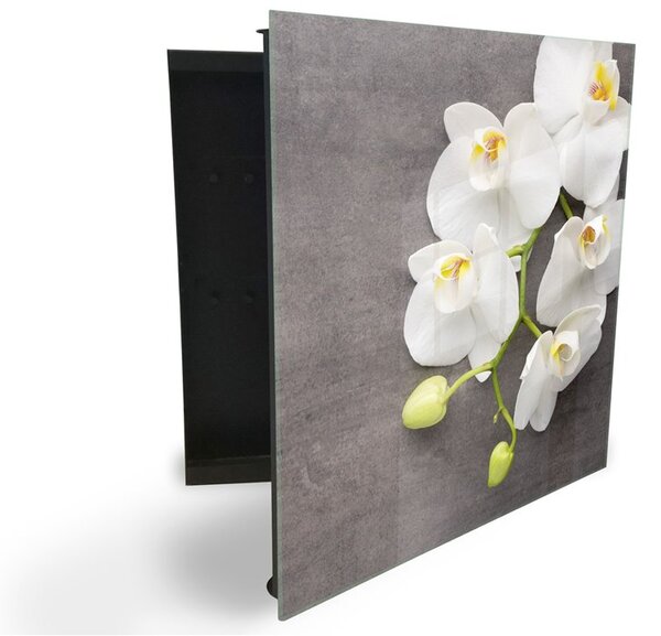 Glasdekor skříňka na klíče - bílé květy orchideje na betonu - Pravé / Bílá