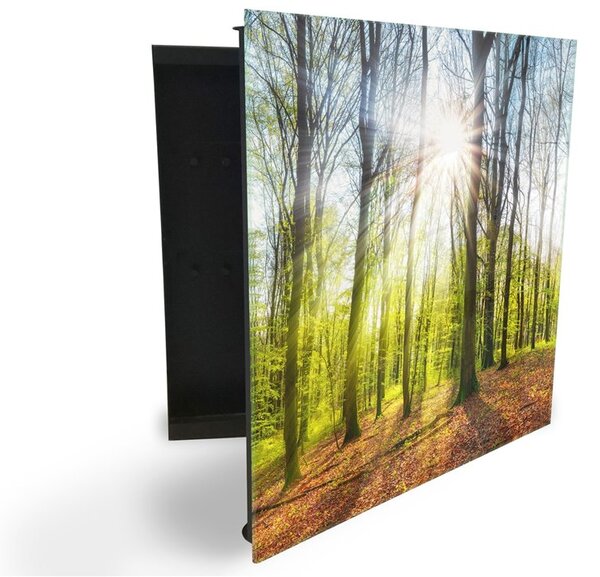 Glasdekor skříňka na klíče - jarní les při východu slunce - Pravé / Bílá