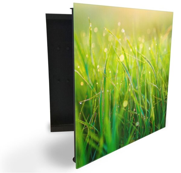 Glasdekor skříňka na klíče - detail orosené trávy v ranním slunci - Pravé / Bílá