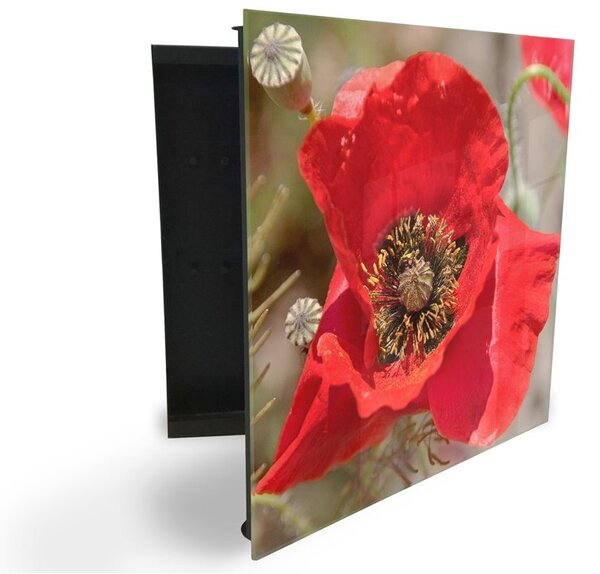 Glasdekor skříňka na klíče - detail červený květ vlčí mák - Levé / Bílá