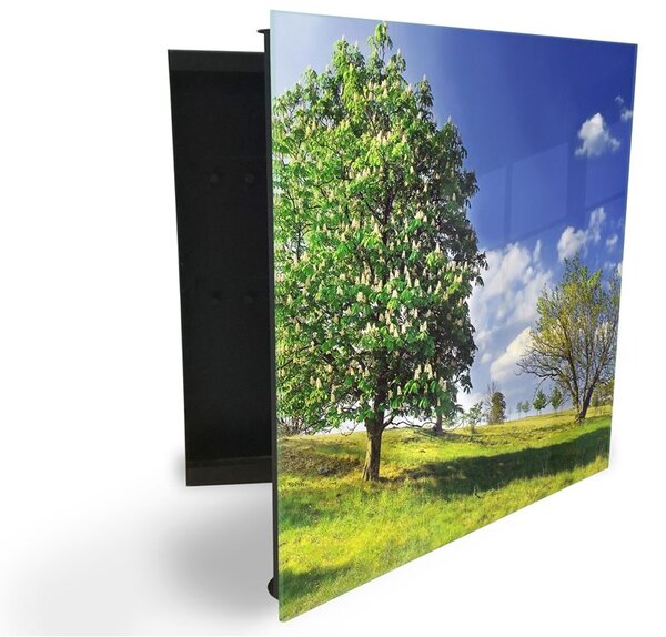 Glasdekor skříňka na klíče - jarní louka stromy - Levé / Bílá