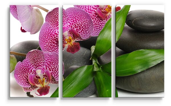 Sablio Obraz - 3-dílný Orchideje a kameny - 120x80 cm