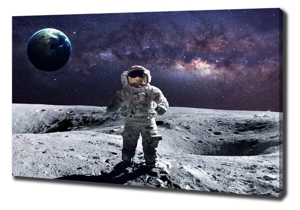 Foto obraz na plátně Kosmonaut oc-99633900