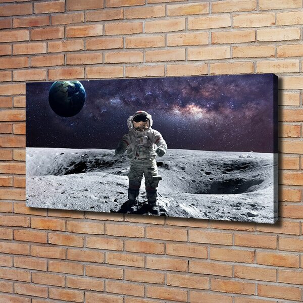Foto obraz na plátně Kosmonaut oc-99633900