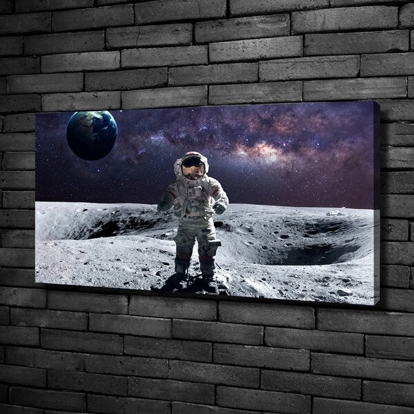 Foto obraz na plátně Kosmonaut oc-99633900