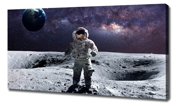 Foto obraz na plátně Kosmonaut oc-99633900