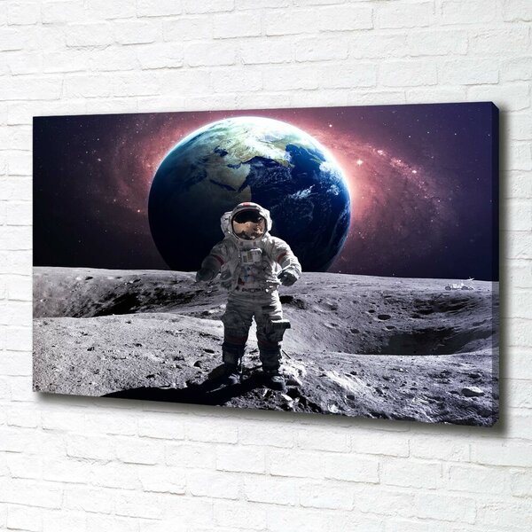 Foto obraz na plátně Kosmonaut oc-99634012