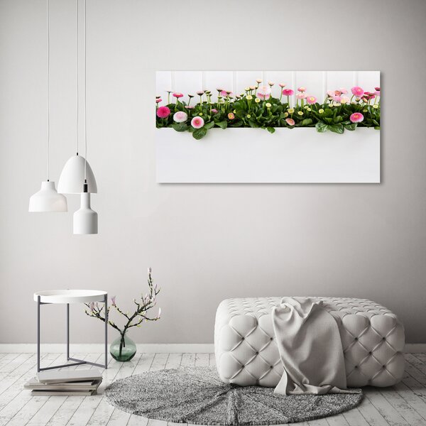 Foto obraz skleněný horizontální Růžové sedmikrásky osh-99649628