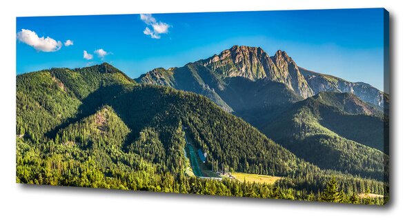 Foto obraz na plátně Panorama Tater oc-99701394