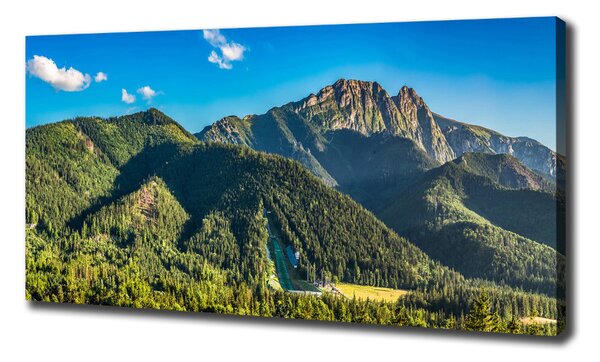 Foto obraz na plátně Panorama Tater oc-99701394