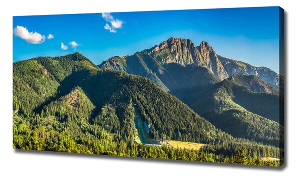 Foto obraz na plátně Panorama Tater oc-99701394